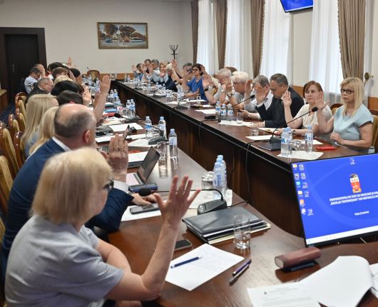 sedinta senatului 